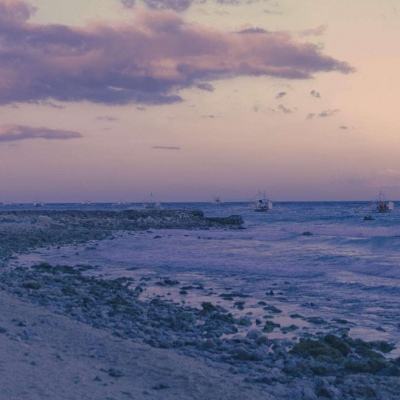 米乐网下载手机版